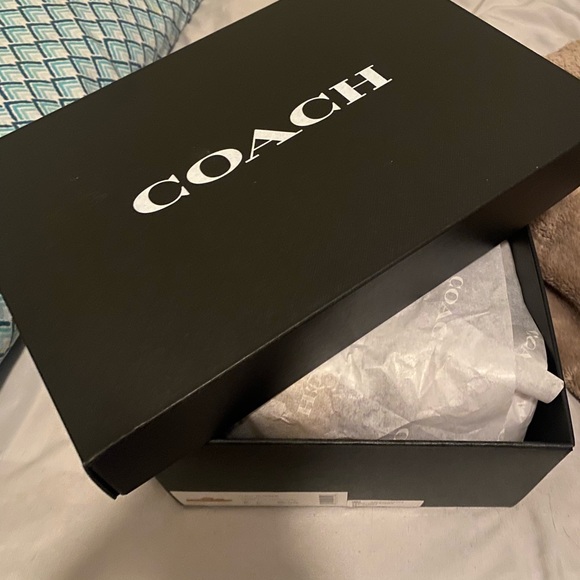 Coach slides - Picture 4 of 4